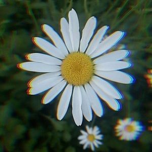 Meet your Posher, Ava